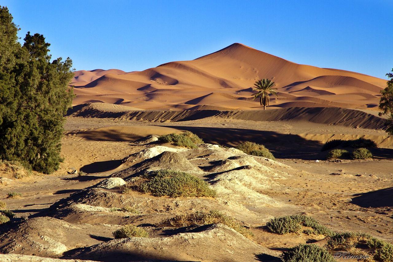 Hassilabied Riadsuerteloca Merzouga מראה חיצוני תמונה The Sahara Desert